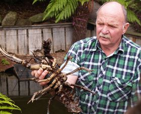 Lobster Ponds - Accommodation Port Macquarie 0