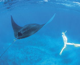 Ningaloo Reef - Accommodation Port Macquarie 3