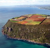 Table Cape - Accommodation Port Macquarie