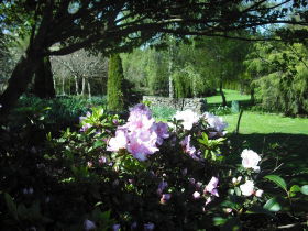 Annsleigh Gardens And Cafe - Accommodation Port Macquarie 3