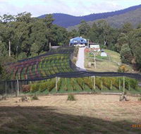 Motton Terraces - Accommodation Port Macquarie