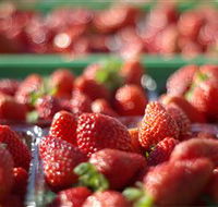 Turners Beach Berry Patch - Accommodation Port Macquarie