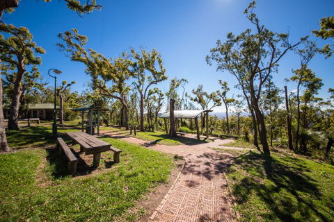 Rockhampton To Carnarvon Gorge Four Night Drive - Accommodation Port Macquarie 0