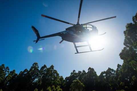 Tall Timbers Adventure Tours - Accommodation Port Macquarie 3
