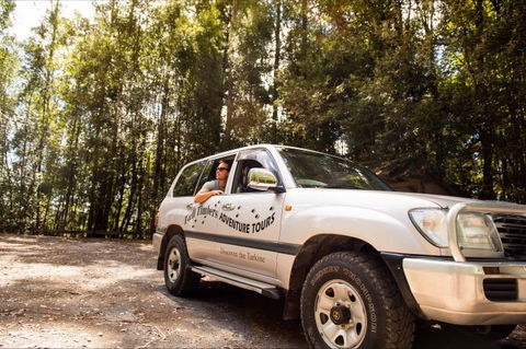 Tall Timbers Adventure Tours - Accommodation Port Macquarie 11