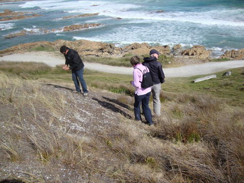 Tall Timbers Adventure Tours - Accommodation Port Macquarie 12