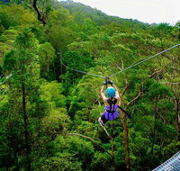 Canyon Flyer - Accommodation Port Macquarie