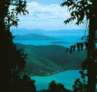 Conway Circuit - Accommodation Port Macquarie