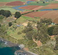 Winged House - The - Accommodation Port Macquarie