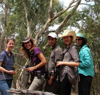Echidna Walkabout Nature Tours - Accommodation Port Macquarie