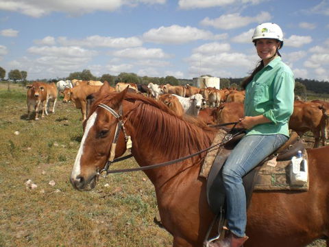 Myella Farm Stay Tours - Accommodation Port Macquarie 0