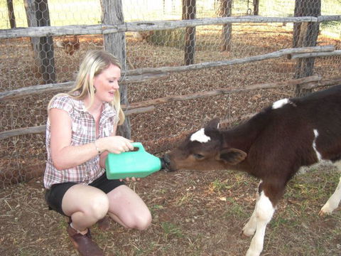 Myella Farm Stay Tours - Accommodation Port Macquarie 1