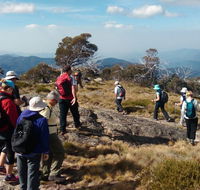 Hedonistic Hiking - Accommodation Port Macquarie