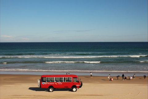Port Stephens 4WD Tours - Accommodation Port Macquarie 8