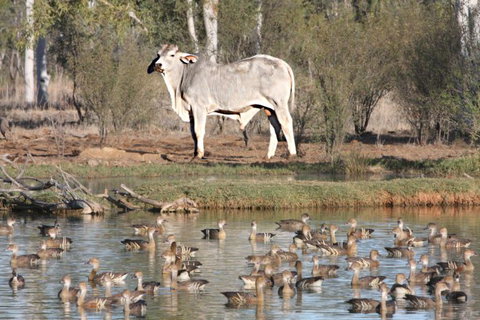 Natural Encounters Trail - Accommodation Port Macquarie 2