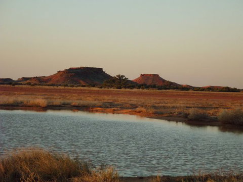 Natural Encounters Trail - Accommodation Port Macquarie 3