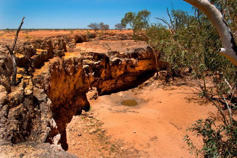 Natural Encounters Trail - Accommodation Port Macquarie 8