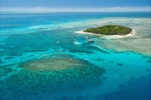 Big Cat Green Island Reef Cruises - Accommodation Port Macquarie 7
