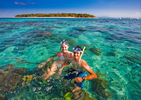 Big Cat Green Island Reef Cruises - Accommodation Port Macquarie 12