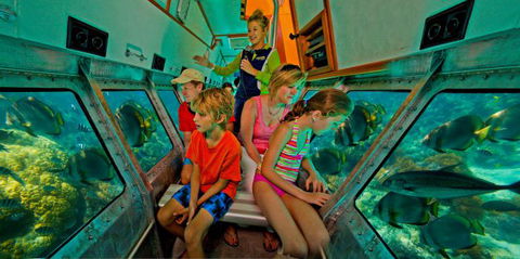 Big Cat Green Island Reef Cruises - Accommodation Port Macquarie 14