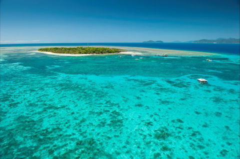 Big Cat Green Island Reef Cruises - Accommodation Port Macquarie 17