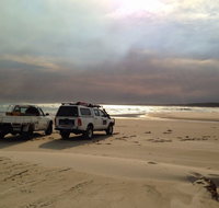 Tasmanian Offroad Adventures - Accommodation Port Macquarie