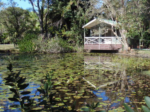 Darlington Beach NRMA Holiday Park - Accommodation Port Macquarie 5
