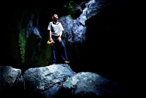 Dig The Tropic Four Day Drive - Accommodation Port Macquarie 1