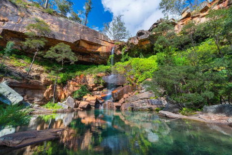 Dig The Tropic Four Day Drive - Accommodation Port Macquarie 2