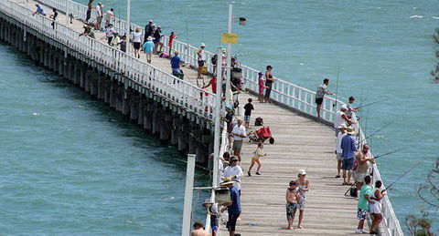 Fraser Coast Amazing Fishing Trails - Accommodation Port Macquarie 24
