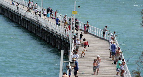 Fraser Coast Amazing Fishing Trails - Accommodation Port Macquarie 25