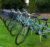 Barossa Bike  - Accommodation Port Macquarie