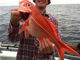 Goin' Off Safaris - Accommodation Port Macquarie 0