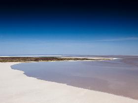Goin' Off Safaris - Accommodation Port Macquarie 9