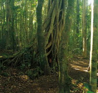 Tullawallal circuit - Accommodation Port Macquarie