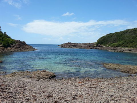 Windang Dive And Spearfishing - Accommodation Port Macquarie 0