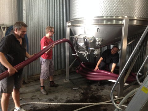 La Prova Wines - Accommodation Port Macquarie 2