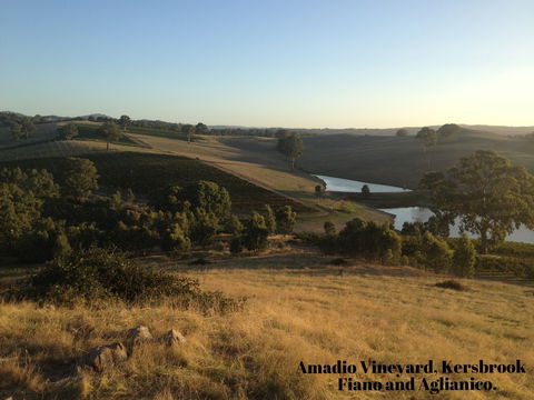 La Prova Wines - Accommodation Port Macquarie 3
