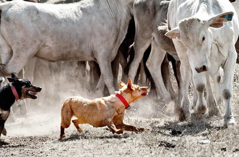David Hancock Photography - Accommodation Port Macquarie 2