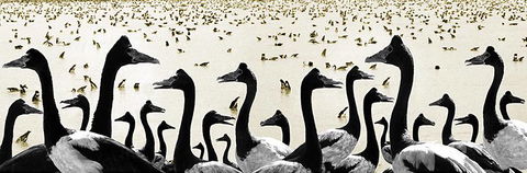 Tin Shed Art Gallery - Accommodation Port Macquarie 0