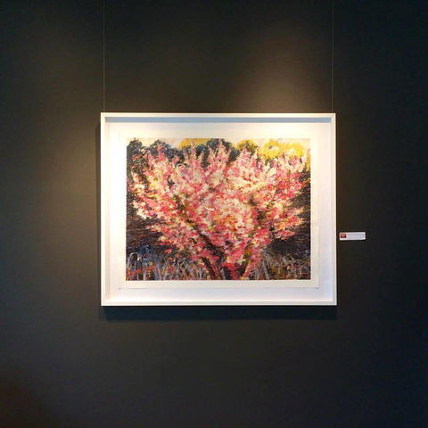 Gallery One - Accommodation Port Macquarie 1