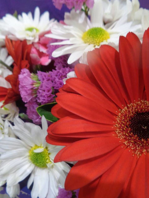 Marysworldart Bali Imports - Accommodation Port Macquarie 0