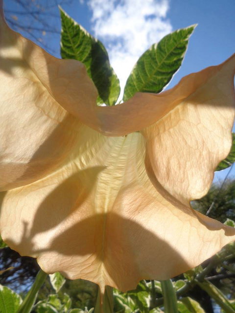 Marysworldart Bali Imports - Accommodation Port Macquarie 1