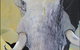 Bright Madge - thumb 1