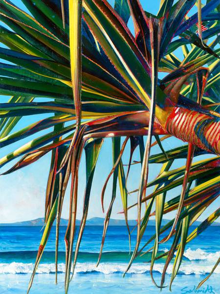 Susan Schmidt Art - Accommodation Port Macquarie 0