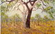 Peter Lawson Fine Art - thumb 1