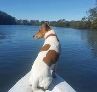 Australis Canoes  Kayaks - Accommodation Port Macquarie