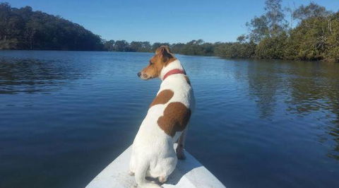 Australis Canoes & Kayaks - Accommodation Port Macquarie 0