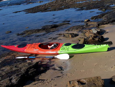 Australis Canoes & Kayaks - Accommodation Port Macquarie 3