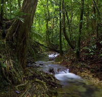 Trek North - Accommodation Port Macquarie